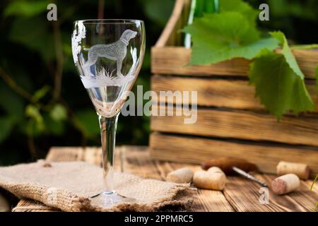 Bicchiere di vino con un cane sabbiato con una scatola per il vino e una vite su uno sfondo di verde. Copia spazio Foto Stock