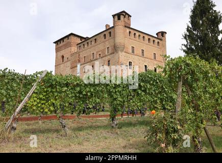 Castello di Grinzane Cavour, Langhe, Piemonte, Italia Foto Stock