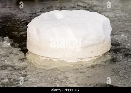 Flottante di impedimento di ghiaccio realizzato in polistirolo in un laghetto congelato Foto Stock