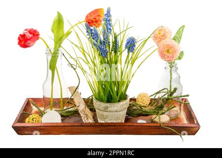 Primo piano di un isolato di fiori artificiali deco Foto Stock
