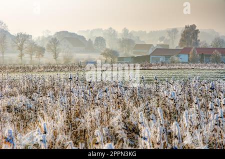 Campo ghiacciato in un villaggio in Baviera Germania Foto Stock