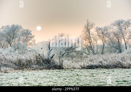 Paesaggio invernale con alberi a vista in una zona di conservazione del paesaggio chiamata Goachat vicino Schrobenhausen (Baviera) (Germania) Foto Stock