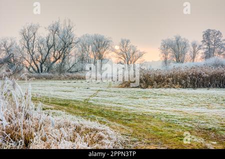 Paesaggio invernale con alberi a vista in una zona di conservazione del paesaggio chiamata Goachat vicino Schrobenhausen (Baviera) (Germania) Foto Stock