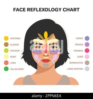 Tabella di Riflessologia del viso organi interni aree di massaggio parti del corpo Illustrazione Vettoriale