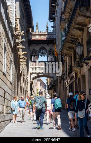 Ponte artistico tra due edifici, Pont del Bebbe, Carrer del Bebbe, Barri Gotic, Barcellona, Catalogna, Spagna Foto Stock