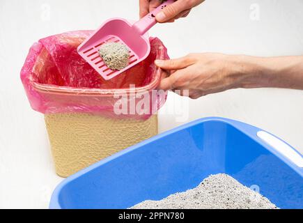 Man pulisce a casa il vassoio della lettiera Cat minerale non naturale e getta residui solidi di bentonite non biodegradabili in un sacchetto di plastica per rifiuti. Ambientale Foto Stock