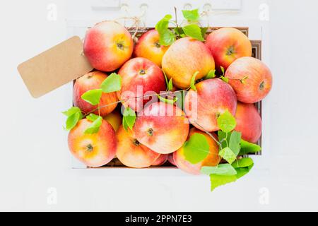 Mele rosse naturali con foglie verdi in scatola di legno con etichetta vuota su fondo bianco. Concetto di raccolto nuovo e raccolto. Frutta di stagione. Chiudi Foto Stock