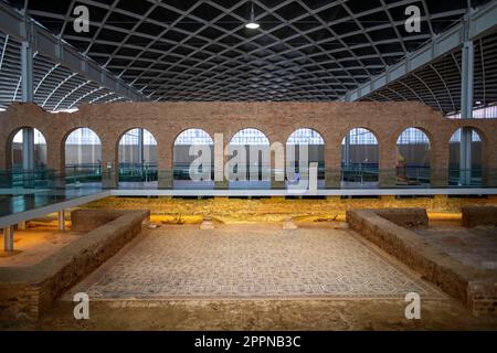 Villa tardo antica romana a la Olmeda, Pedrosa de la Vega, provincia di Palencia, Castiglia e León, Spagna. La villa romana la Olmeda, è un grande rurale Foto Stock