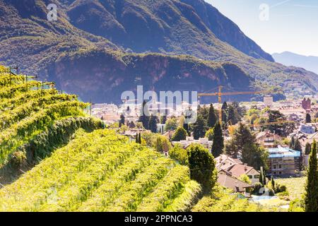 Vista sulla città di Bolzano (Sout Tyrol) (Italia) Foto Stock