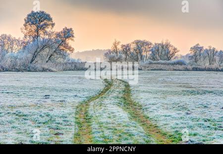 Paesaggio invernale con alberi a vista in una zona di conservazione del paesaggio chiamata Goachat vicino Schrobenhausen (Baviera) (Germania) Foto Stock