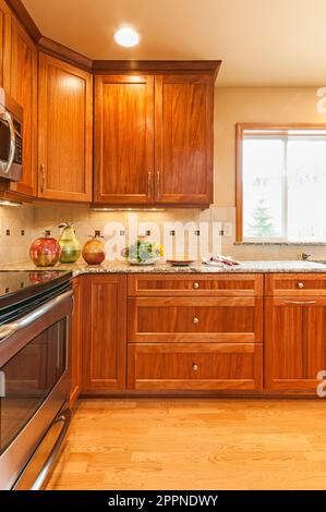 Armadietti di legno, countertops, elettrodomestici e pavimenti in legno duro in questa casa contemporanea rimodellata. Foto Stock