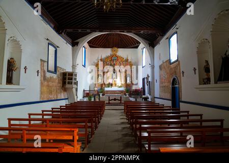 Pala d'altare policroma in legno all'interno della chiesa barocca di Santo Domingo de Guzman a Tetir, una piccola cittadina nel centro di Fuerteventura isl Foto Stock