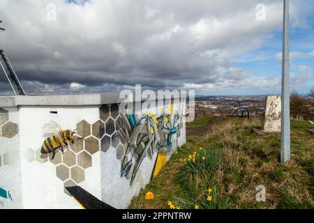 Murale di uccelli e api di Paco Guff, 2020 su edificio di utilità in cima alla legge di Dundee Foto Stock