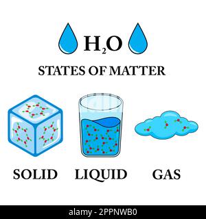 Illustrazione vettoriale dei tre stati della materia, della materia in stati diversi. Illustrazione scientifica di stati solidi, liquidi, gassosi con diverse disposizioni molecolari isolati su sfondo bianco. Illustrazione Vettoriale