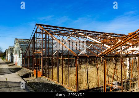 Complesso di serra in uno stato abbandonato. Vecchie serre fatiscenti Foto Stock