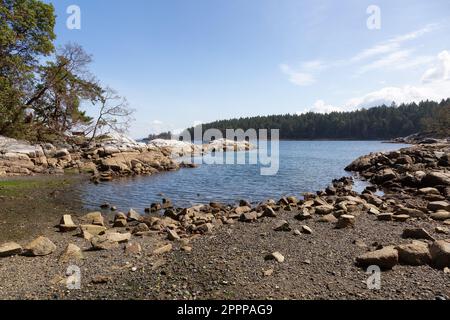 Rocky Shore sulla costa occidentale dell'Oceano Pacifico a Nanoose Bay. Natura sfondo Foto Stock