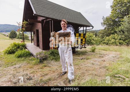 Hobby Miele contadino in piedi in un apiario, di fronte alle alveari, tenendo una struttura di alveare in legno coperto di api e pettine Foto Stock