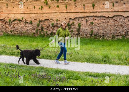 Donna matura che fa jogging con il suo cane. Senior running in parco con cane al guinzaglio. Camminare all'aria aperta Foto Stock