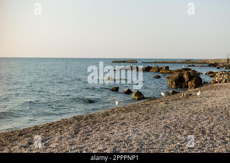 Le pericolose onde marine si schiantano su una costa rocciosa con spruzzi e schiuma prima di una tempesta in mare Foto Stock