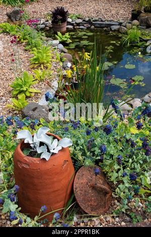 Laghetto ornamentale con candidani Senecio 'Angel Wings' in vecchio piatto di forzamento in argilla decorativo Foto Stock