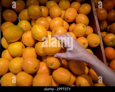 Una mano femminile prende un arancio sunkista nella navata di frutta e verdura nel supermercato Foto Stock