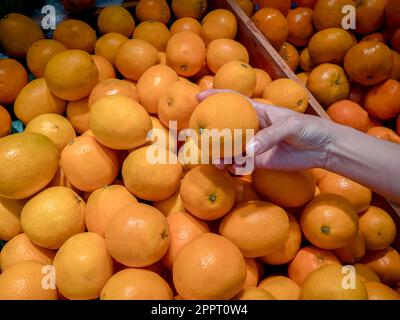 Una mano femminile prende un arancio sunkista nella navata di frutta e verdura nel supermercato Foto Stock