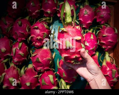 Una mano femminile prende una frutta di drago nella navata di frutta e verdura nel supermercato Foto Stock