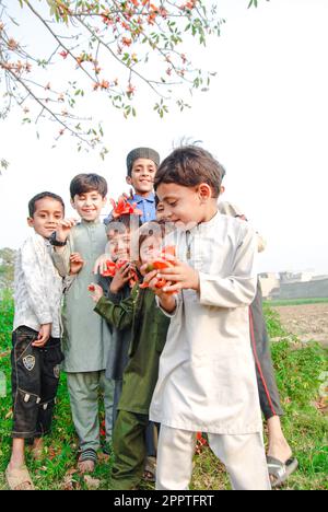 Bambini felici che giocano nel Parco in estate. Gruppo multiculturale: Il concetto di infanzia, amicizia e comunicazione interculturale. Foto Stock