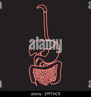 Sistema digestivo al neon colore rosso vettore illustrazione immagine stile piatto Illustrazione Vettoriale