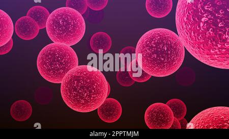 Batteri Streptococcus. Le specie Streptococcus sono responsabili di faringite, meningite, polmonite batterica, endocardite e fascite necrotizzante Foto Stock