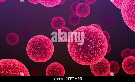 Batteri Streptococcus. Le specie Streptococcus sono responsabili di faringite, meningite, polmonite batterica, endocardite e fascite necrotizzante Foto Stock