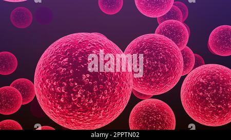 Batteri Streptococcus. Le specie Streptococcus sono responsabili di faringite, meningite, polmonite batterica, endocardite e fascite necrotizzante Foto Stock