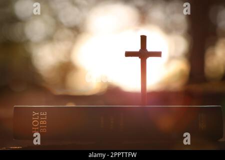 La luce attraverso gli alberi della foresta al tramonto, la Santa croce che simboleggia la morte e la risurrezione di Gesù Cristo, e lo sfondo del libro biblico Foto Stock