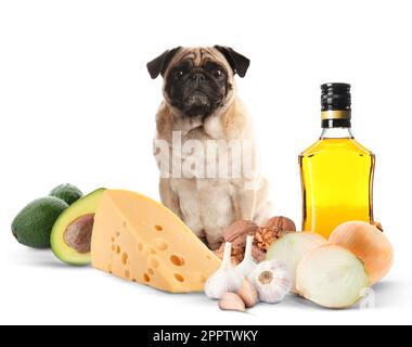 Carino cane pug e gruppo di diversi prodotti tossici per il cucciolo su sfondo bianco Foto Stock