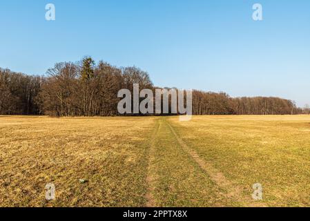 Prato primaverile con foresta intorno e cielo limpido sopra tra Polanka nad Odrou e Kosatka in CHKO Poodri nella repubblica Ceca Foto Stock