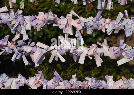 Omikuji Fortune, Tokyo, Giappone Foto Stock