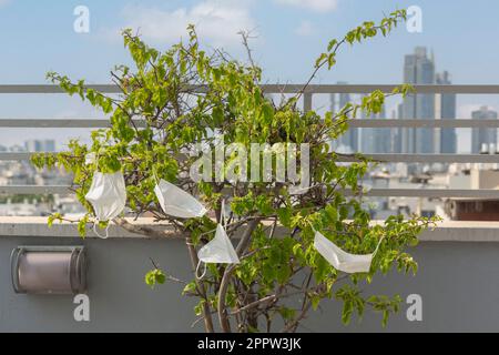 COVID-19 maschere protettive per il viso appese all'albero sul tetto della città Foto Stock