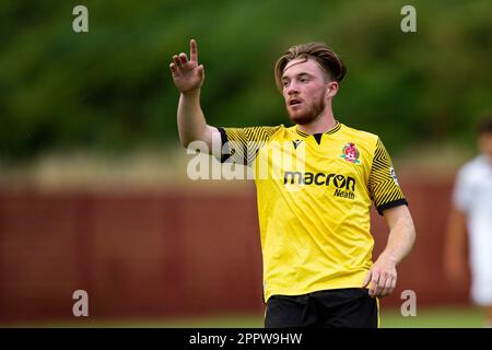 Briton Ferry Llansawel / Swansea City U23 in una pre-stagione amichevole il 27th luglio 2022. Foto Stock