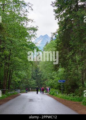 Tatra montagna, Polonia - Giugno, 2022: Abbondanza di persone sul sentiero per il famoso lago Morskie Oko (Sea Eye Lake). Splendida vista panoramica a Tatra Natio Foto Stock