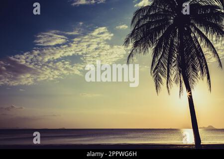 Silate l'albero di cocco sulla spiaggia prima del tramonto sfondo Foto Stock