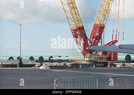 Produzione e produzione di pale per turbine eoliche presso Siemens Gamesa, Alexandra Dock, Hull, Inghilterra Foto Stock