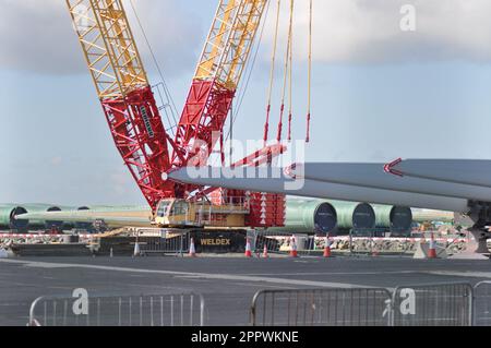 Produzione e produzione di pale per turbine eoliche presso Siemens Gamesa, Alexandra Dock, Hull, Inghilterra Foto Stock