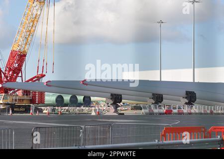 Produzione e produzione di pale per turbine eoliche presso Siemens Gamesa, Alexandra Dock, Hull, Inghilterra Foto Stock