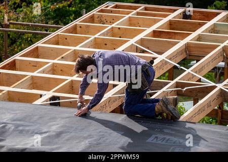 Tradesman che fissa il materiale isolante sul tetto di una casa in costruzione Foto Stock