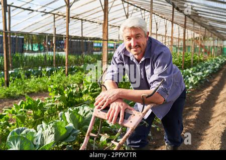 Ritratto di un agricoltore maschio sorridente che si appoggia al coltivatore di trattori a serra Foto Stock