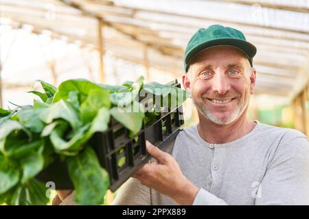 Ritratto di sorridente agricoltore maschile che trasporta ortaggi freschi biologici in gabbia in fattoria Foto Stock