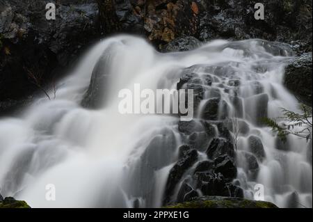 Ambiente tranquillo all'aperto con un piccolo torrente che corre sopra il terreno roccioso, creando un'atmosfera serena Foto Stock