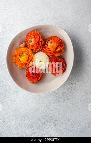 Vista dall'alto della decorazione d'interni con ciotola piena di testa di fiori Ranunculus su tavolo di cemento Foto Stock