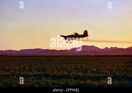 Aeroplano a propulsione singola che spruzza pesticidi sul campo nella valle centrale della California durante le attività al crepuscolo Foto Stock