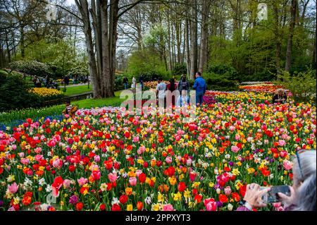 Si vedono persone che si posano dietro un enorme gruppo di diversi tipi di tulipani. Keukenhof è anche conosciuto come il Giardino d'Europa, uno dei più grandi giardini fioriti del mondo, e si trova a Lisse, nei Paesi Bassi. Oltre ai milioni di tulipani, narcisi e giacinti nel parco, il fiore all'interno dei padiglioni è diventato più grande e più bello. Fino al 14 maggio 2023 si prevede che oltre 1 milioni di persone provenienti da tutto il mondo visiteranno la mostra. Keukenhof contribuisce in tal modo in modo in misura considerevole ai settori del turismo e della floricoltura olandesi. Foto Stock